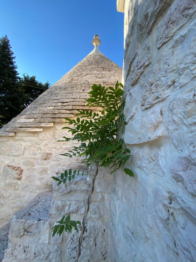 I Trulli Del Tupparello Acomodação com café da manhã Fasano Exterior foto